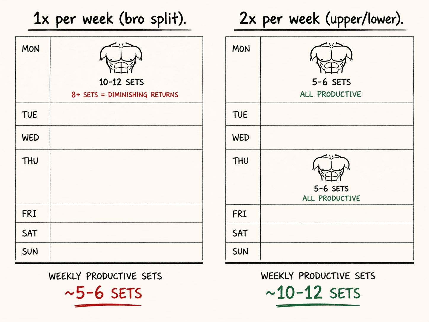 Hur ofta bör du träna varje muskelgrupp per vecka?